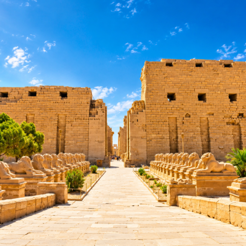 From Luxor: Guided Tour to East or West Banks